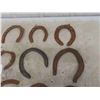 Image 2 : 16 Horse Shoes
