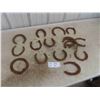 Image 1 : 16 Horse Shoes 