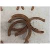 Image 2 : 16 Horse Shoes 