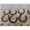 Image 2 : 16 Horse Shoes 