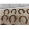 Image 2 : 20 Horse Shoes 