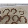 Image 2 : 20 Horse Shoes 