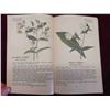 Image 3 : Lovely Book 'Wild Flowers at a Glance' by M.C. Carey and 