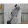 Image 2 : Framed Horse Picture 32'' x 42'' 