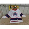 Image 1 : Vintage 1990s Winnipeg Jets CCM Mens Medium 