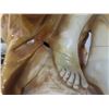 Image 8 : 28'' Tall Statue (Had Damage, Owner Repaired) , Unicorn