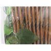 Image 2 : 4ft x 6ft bamboo privacy fence with fake leafs - New or 