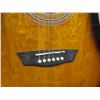 Image 3 : Washbun Acoustic Guitar with Soft Case 