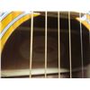 Image 4 : Washbun Acoustic Guitar with Soft Case 