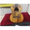 Image 8 : Kala KA-MG-T Ukelele with Soft Case