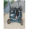 Image 3 : Craftsman 5.5HP Push Mower 