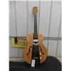 Image 1 : Vintage Harmony Hollywood H-37 1960s Acoustic Electric 