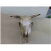 Image 1 : Bovine Skull 