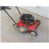 Image 2 : Vantage 3 1/2HP Push Gas Mower 