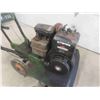 Image 2 : Co-op Turf-til Briggs/Stratton 5HP Rototiller 