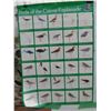 Image 3 : Lot of Books and Posters on Birds, Parrots,