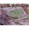 Image 2 : Hunting Camo Blind 