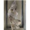 Image 2 : 2 Terrariums 12'' x 12'' x 30''   + 18'' x 12'' x 12'' , Décor,