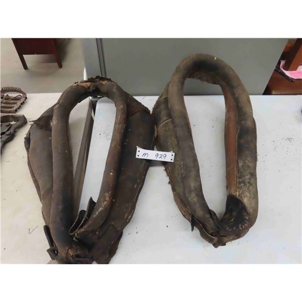 2 Horse Cables 