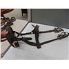 Image 2 : 3 Dog Collars / Harness