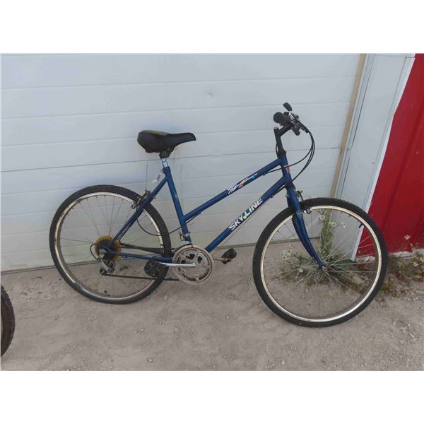 Skyline Variable Speed Pedal Bike 25''