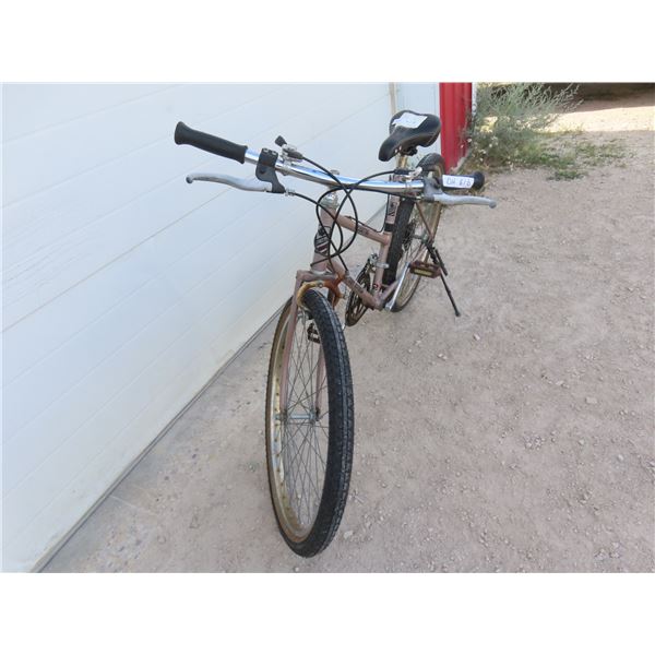 Womens Pace Setter 12 Speed Bike 26''