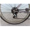 Image 3 : Womens Pace Setter 12 Speed Bike 26''