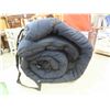 Image 6 : 3 Sleeping Bags 