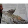 Image 11 : Books: Birds, 4 Book Series Winston Churchhill, Garson 