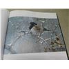 Image 12 : Books: Birds, 4 Book Series Winston Churchhill, Garson 