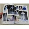 Image 10 : 2 Books on Lalique : Lalique a Collectors Guide by Christopher 