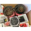 Image 3 : 2 Boxes Full of Various Nails 