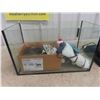 Image 2 : Fish Tank with Accessories 12" x 20" x 10"