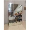 Image 1 : Mirror 24'' x 36'' 