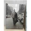 Image 2 : 3 Photos on Hard Wood: 2 James Dean 11 1/2'' x 36'' + 