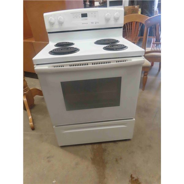 Amana Stove 