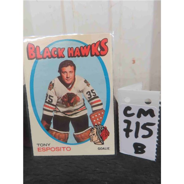Tony Esposito Chicago Black Hawks Card 