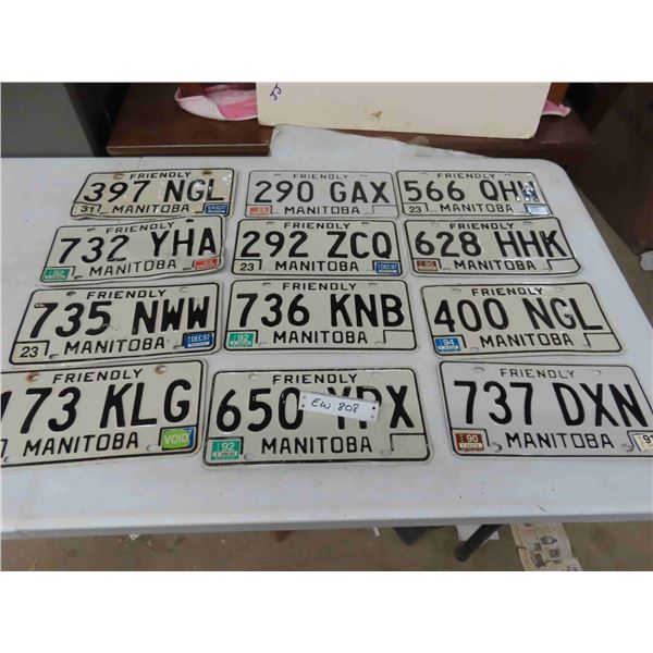 12 Manitoba Licence Plates