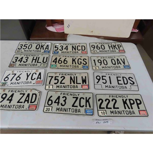 12 Manitoba Licence Plates