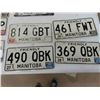 Image 3 : 13 Manitoba License Plates + 4 Trailer Plates 