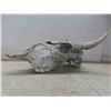Image 2 : Bison Skull 14" Horn Spread 19" Nose to Horn 