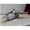 Image 1 : Bison Skull 21" Horn Spread 22" Nose to Horn