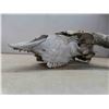 Image 2 : Bison Skull 21" Horn Spread 22" Nose to Horn