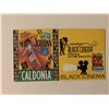 Image 2 : Black Cinema FDC