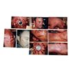 Image 1 : Smallville (2001-2011) - Metallo (Brian Austin Green) Make-up Continuity Shots