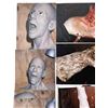 Image 2 : Willard (2003) - 90 Make-up SFX Continuity Shots