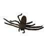 Image 2 : Arachnophobia (1990) - Spider
