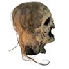 Image 3 : The Walking Dead (2010-2022) - Whisperer Mask - Lot A