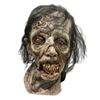 Image 2 : Wolfgang Van Halen's Mammoth Music Video 'The End' Zombie Mask