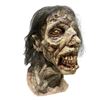 Image 3 : Wolfgang Van Halen's Mammoth Music Video 'The End' Zombie Mask